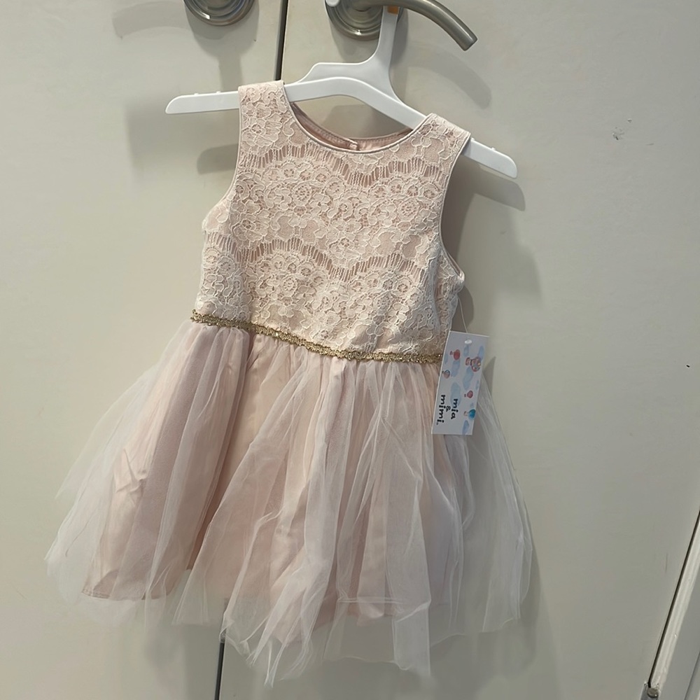 Blush pink 2T girls dress
